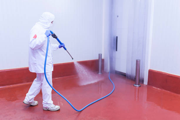 Best Pre-Holiday Cleaning  in Laguna Beach, FL