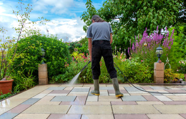 Best Driveway Pressure Washing  in Laguna Beach, FL